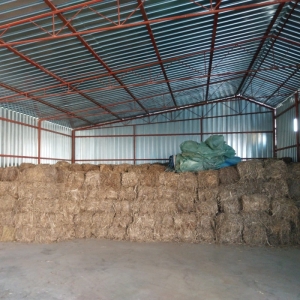 Bales of industrial fiber hemp  - CBD & Hemp Products | Hemp Trade Market